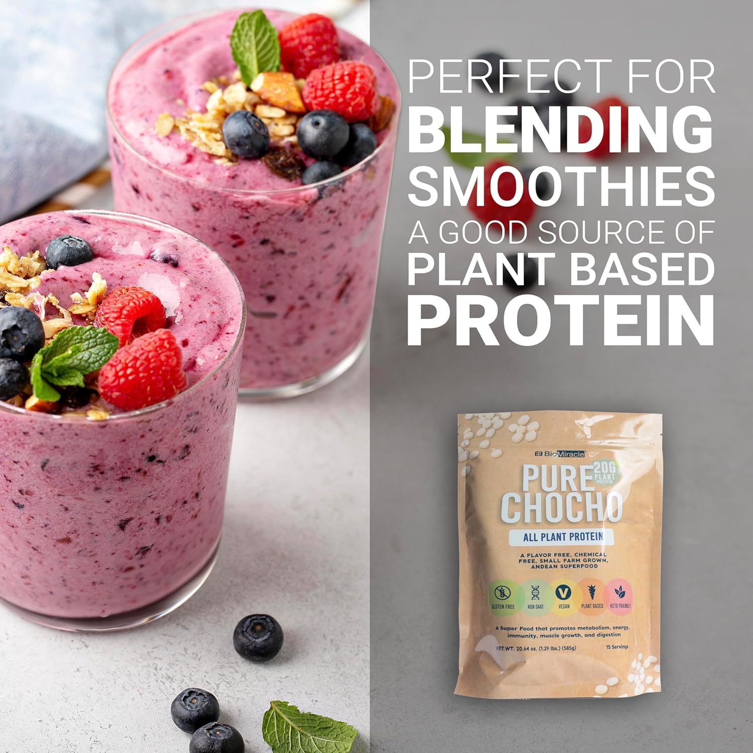 Hydrolyzed Pure Chocho All Plant Protein 20g Gluten Free, Non-GMO, Vegan, Plant-Based, Keto Friendly (15 Servings)