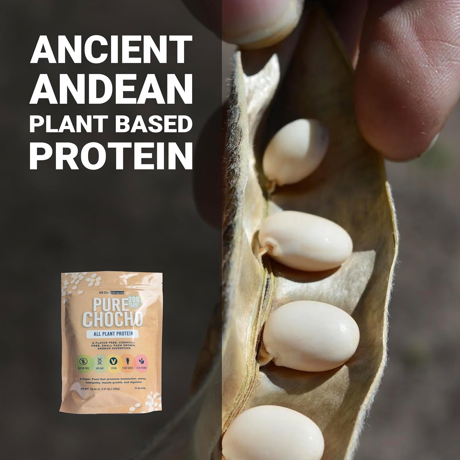 Hydrolyzed Pure Chocho All Plant Protein 20g Gluten Free, Non-GMO, Vegan, Plant-Based, Keto Friendly (15 Servings)