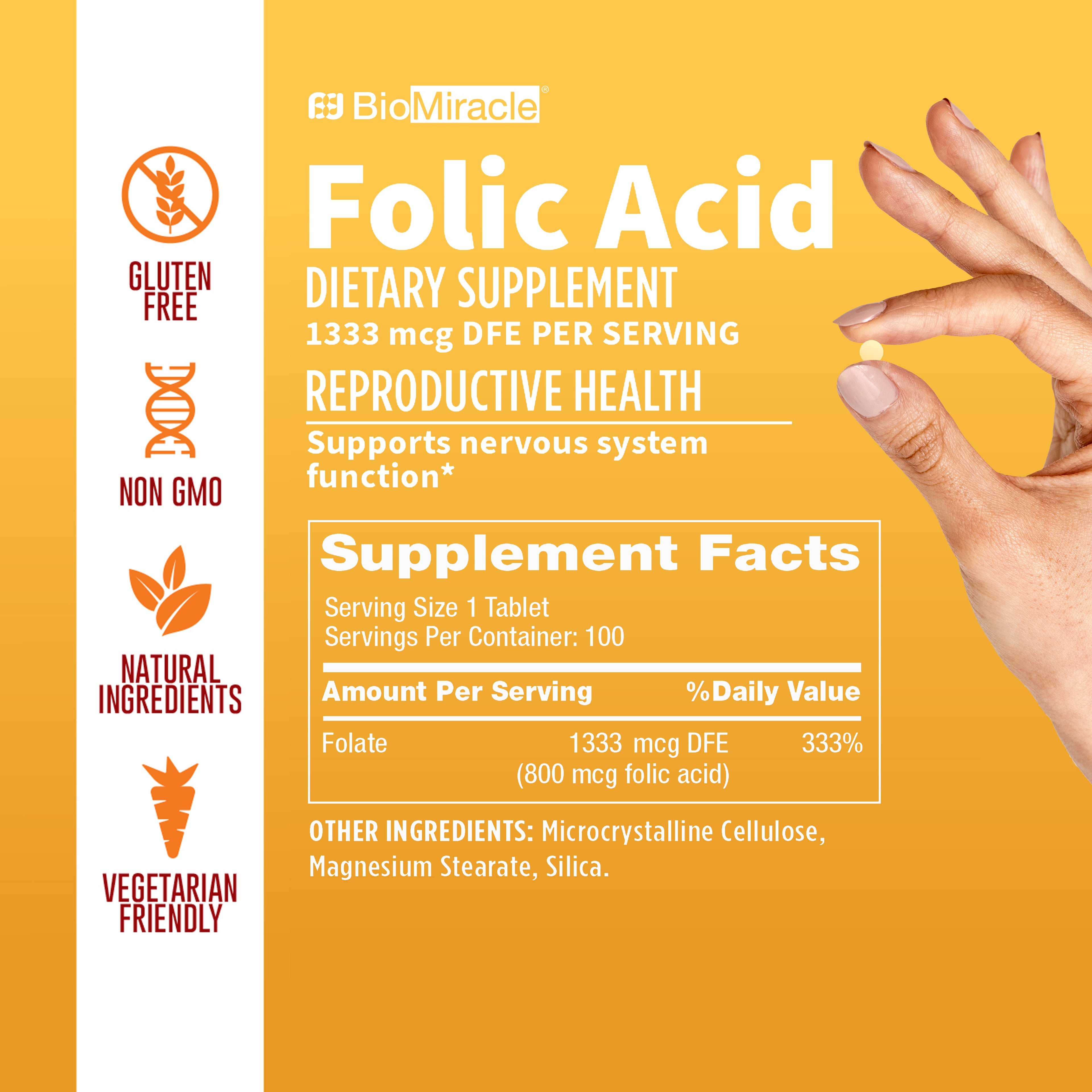 Folic Acid 100 Tablets 2 Pack